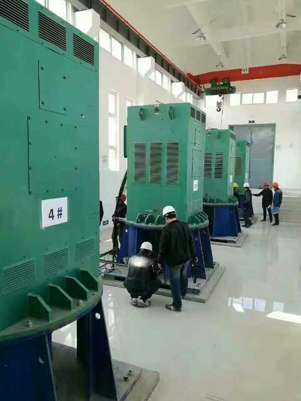 JR128-6某污水处理厂使用我厂的立式高压电机安装现场