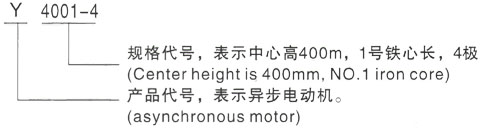 西安泰富西玛Y系列(H355-1000)高压JR128-6三相异步电机型号说明