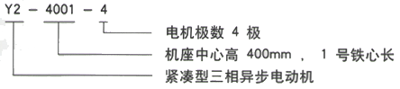 YR系列(H355-1000)高压JR128-6三相异步电机西安西玛电机型号说明